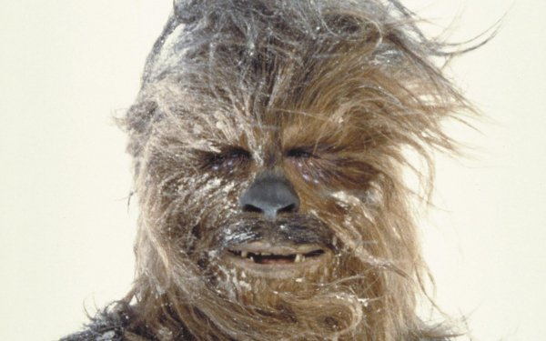 Movie Star Wars Chewbacca HD Wallpaper | Background Image