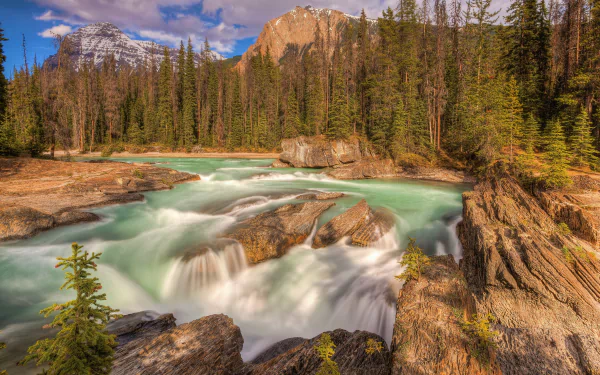  River Waterfall