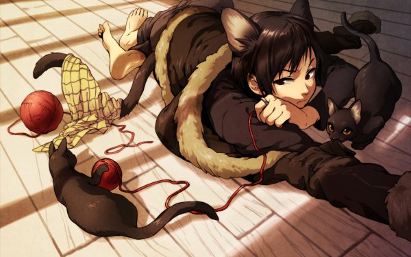 Anime Durarara!! Izaya Orihara Cat Tail Animal Ears HD Wallpaper | Background Image