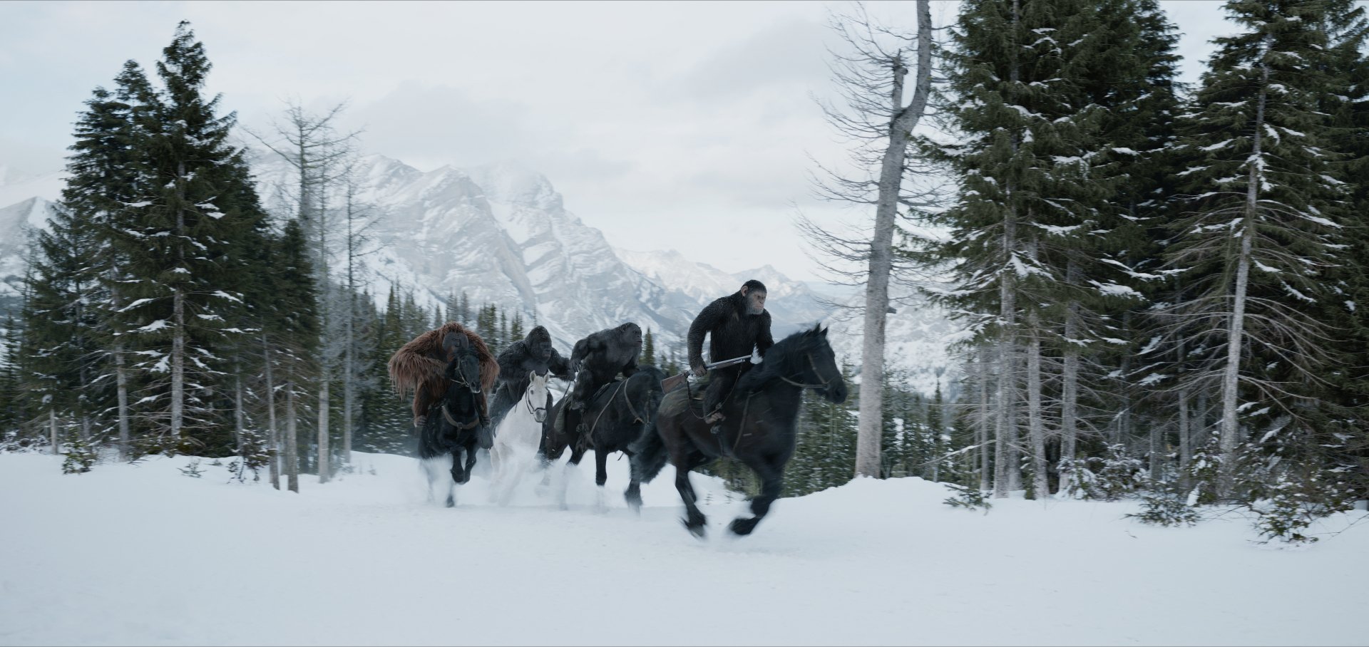 HD desktop wallpaper from War for the Planet of the Apes featuring apes riding horses through a snowy forest with mountains in the background.