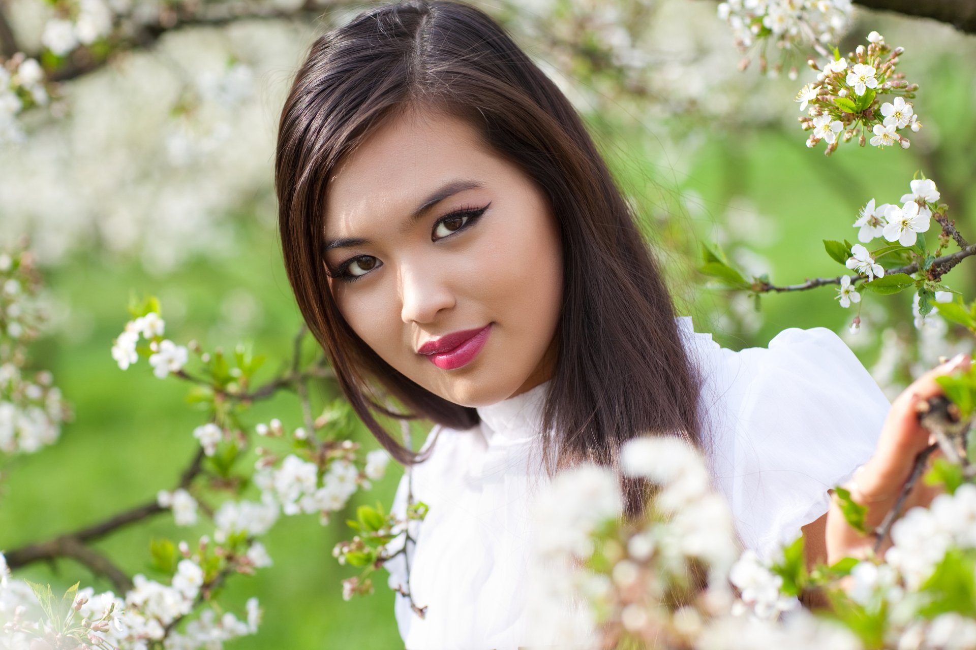 HD wallpaper featuring an Asian woman with brown eyes and brunette hair amid white blossoms, highlighting her makeup and lipstick with a gentle depth of field effect.