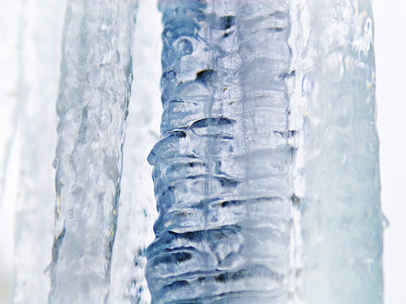 Download Nature Winter Icicle Wallpaper