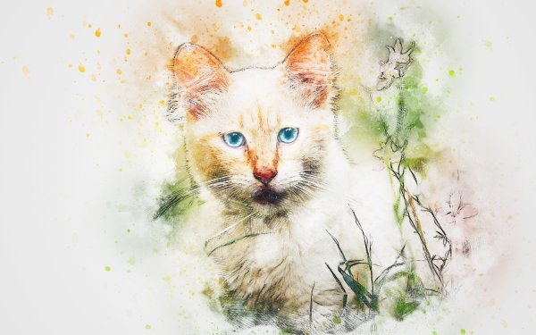Animal Cat Watercolor HD Wallpaper | Background Image
