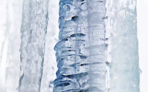 nature winter icicle HD Desktop Wallpaper | Background Image