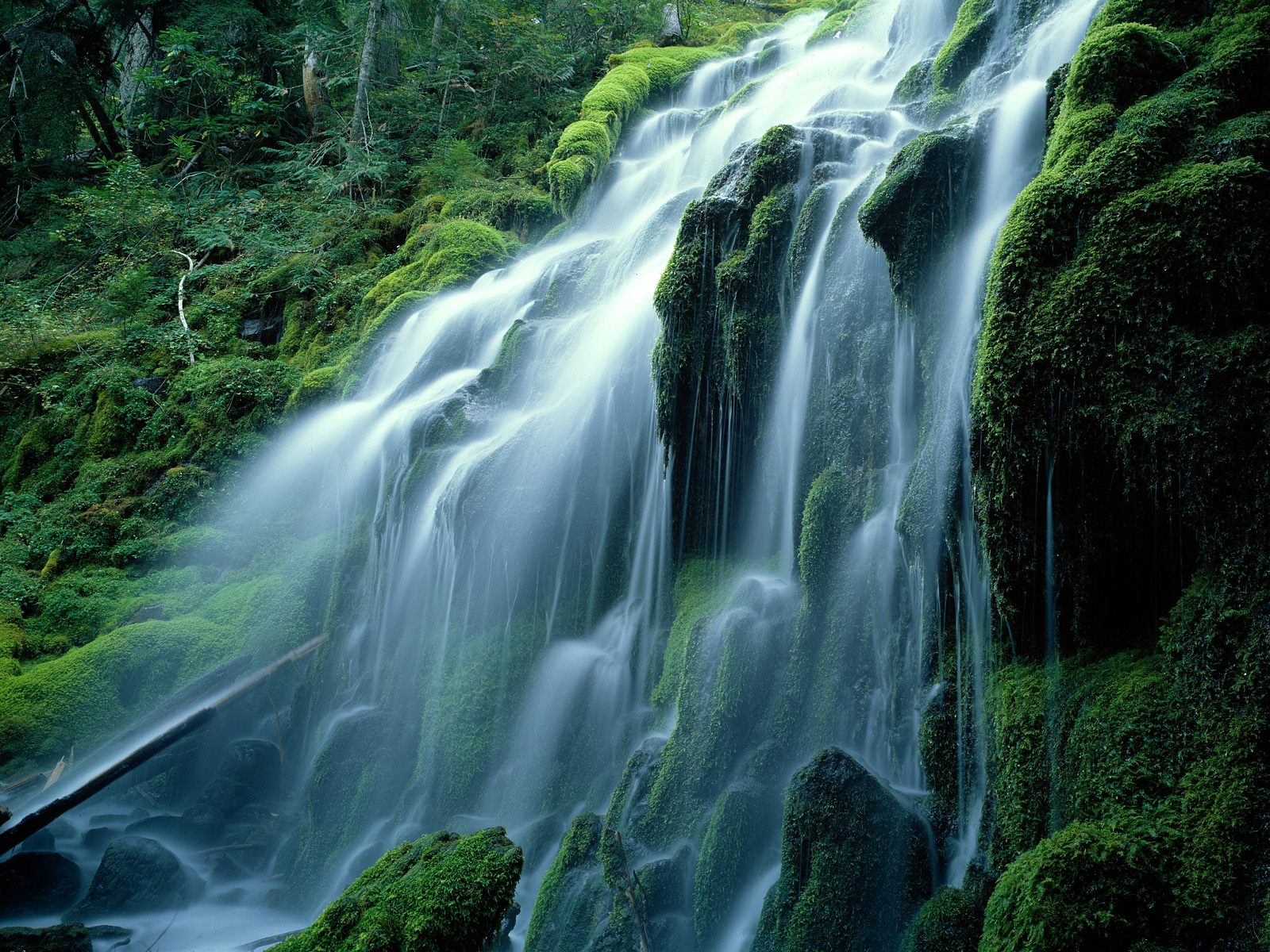 Autumn Forest And Cascade Waterfalls, Cacade, Forest, Waterfall, Nature,  bonito, HD wallpaper | Peakpx