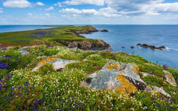 Tierra/Naturaleza Costa Coast Océano Sea Flor Irlanda Horizon Nube Fondo de pantalla HD | Fondo de Escritorio