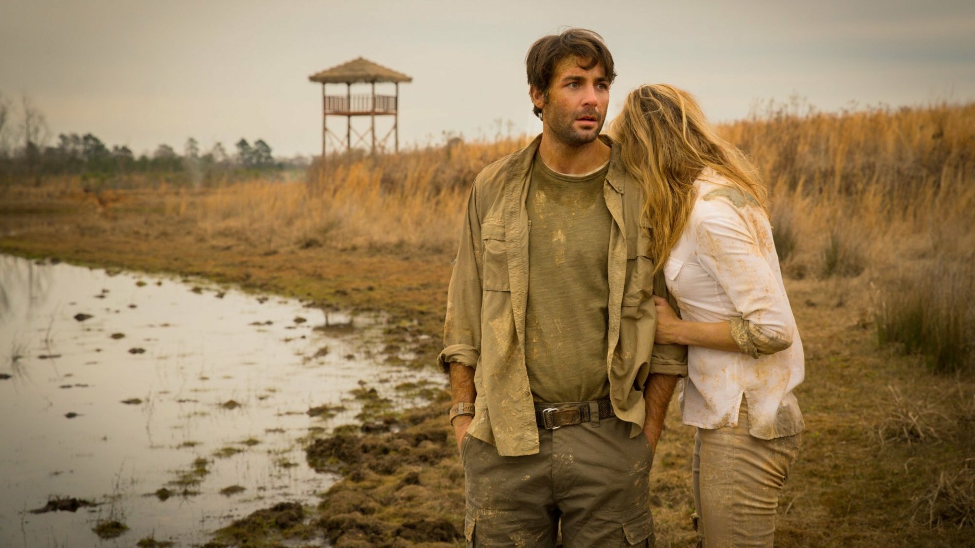 Download TV Show Zoo (TV Show) HD Wallpaper