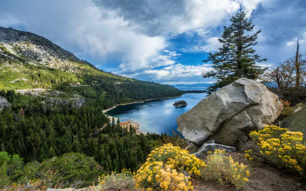 flower forest tree mountain lake nature Lake Tahoe HD Desktop Wallpaper | Background Image