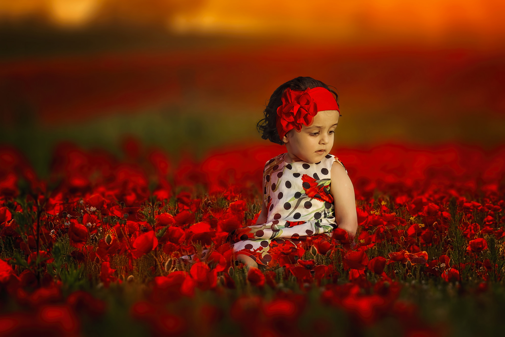 Download Depth Of Field Poppy Red Flower Flower Summer Little Girl