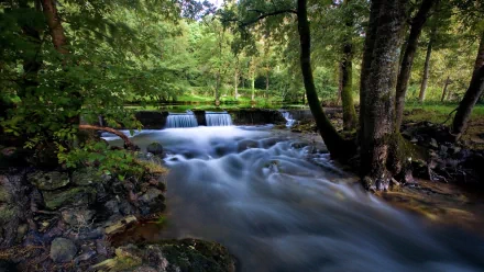 HD PC desktop wallpaper featuring a serene river flowing gently through a lush, green forest surrounded by trees and rocks, capturing peaceful nature.