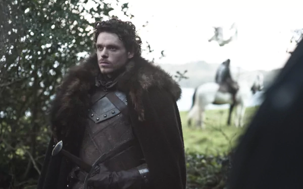 Richard Madden Robb Stark TV Show Game Of Thrones HD Desktop Wallpaper | Background Image