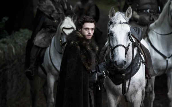 Richard Madden Robb Stark TV Show Game Of Thrones HD Desktop Wallpaper | Background Image