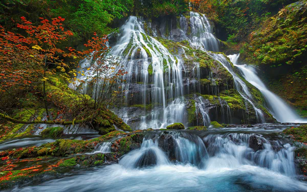 foam nature waterfall HD Desktop Wallpaper | Background Image