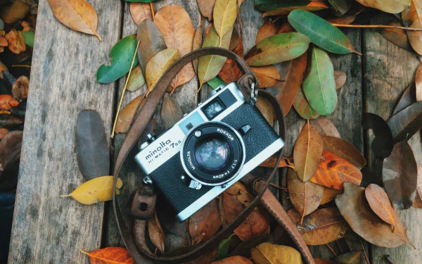 Minolta fall leaf man made camera HD Desktop Wallpaper | Background Image