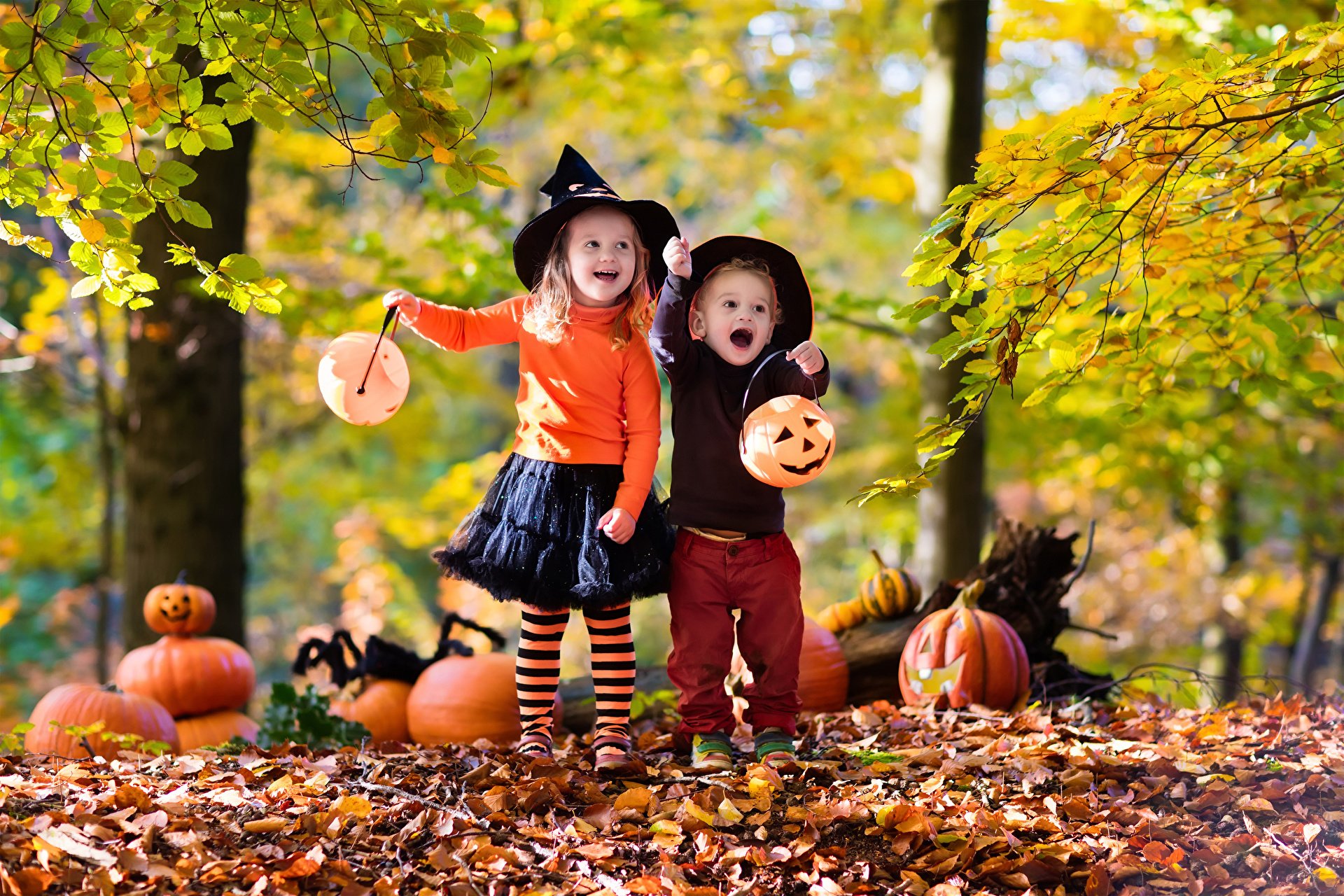 Holiday Halloween HD PC desktop wallpaper and background showing two children in witch hats holding jack-o'-lanterns among pumpkins on a sunlit autumn forest floor.