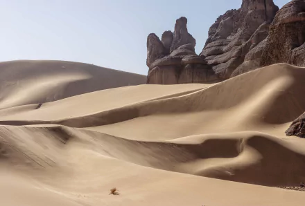 Tadrart sand dunes at Tassili N'Ajjer in the Sahara National Park, Algeria — sweeping golden desert dunes and rocky formations; 2K Quad HD desktop wallpaper of African nature.