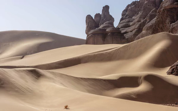 Tadrart sand dunes at Tassili N'Ajjer in the Sahara National Park, Algeria — sweeping golden desert dunes and rocky formations; 2K Quad HD desktop wallpaper of African nature.