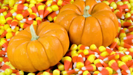 HD desktop wallpaper featuring two bright orange gourds surrounded by a vibrant pile of candy corn.