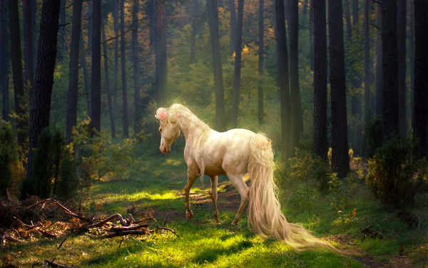 Animal Horse Forest Fantasy HD Wallpaper | Background Image