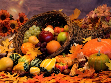 A vibrant fall still life featuring pumpkins, gourds, assorted fruits, and flowers arranged in a basket with autumn leaves, captured in HD for a PC desktop wallpaper.