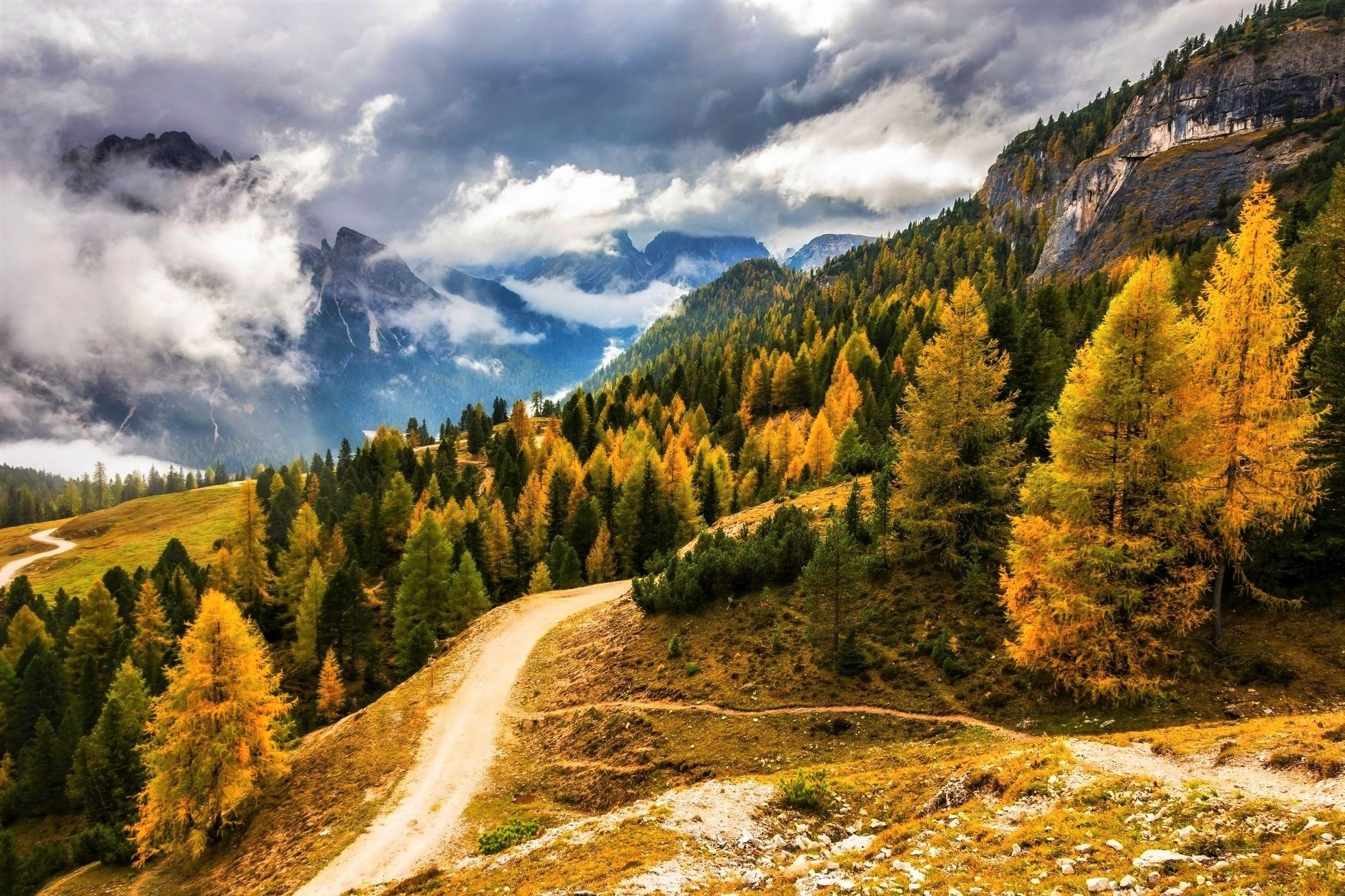 Fog over Autumn Forest