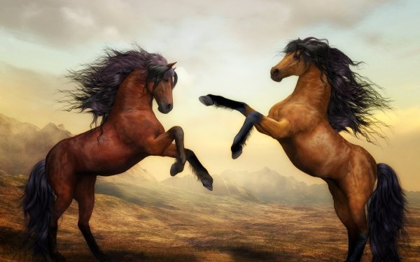 Animal Horse Painting Arabian Horse HD Wallpaper | Background Image