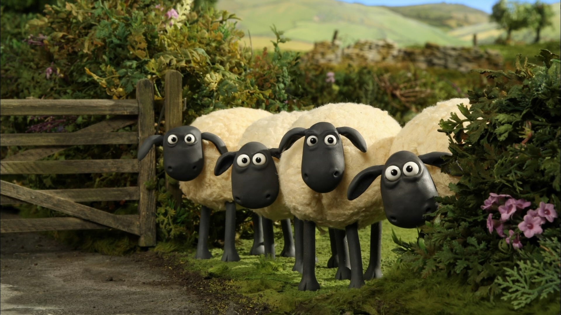 Shaun The Sheep HD Wallpaper