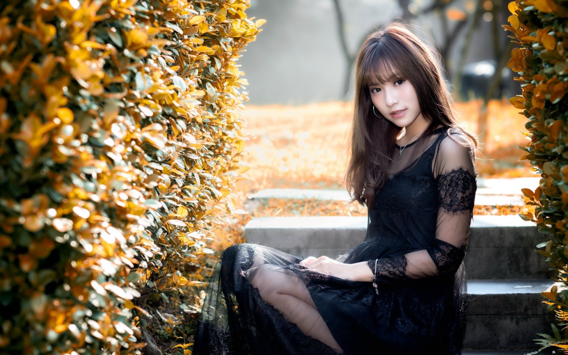 A brunette Asian woman in a black dress sits outdoors between two hedges, with a blurred background. This high-definition image serves as an elegant desktop wallpaper and background.