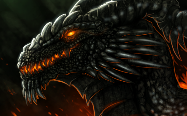 Fantasy Dragon Fire HD Wallpaper | Background Image