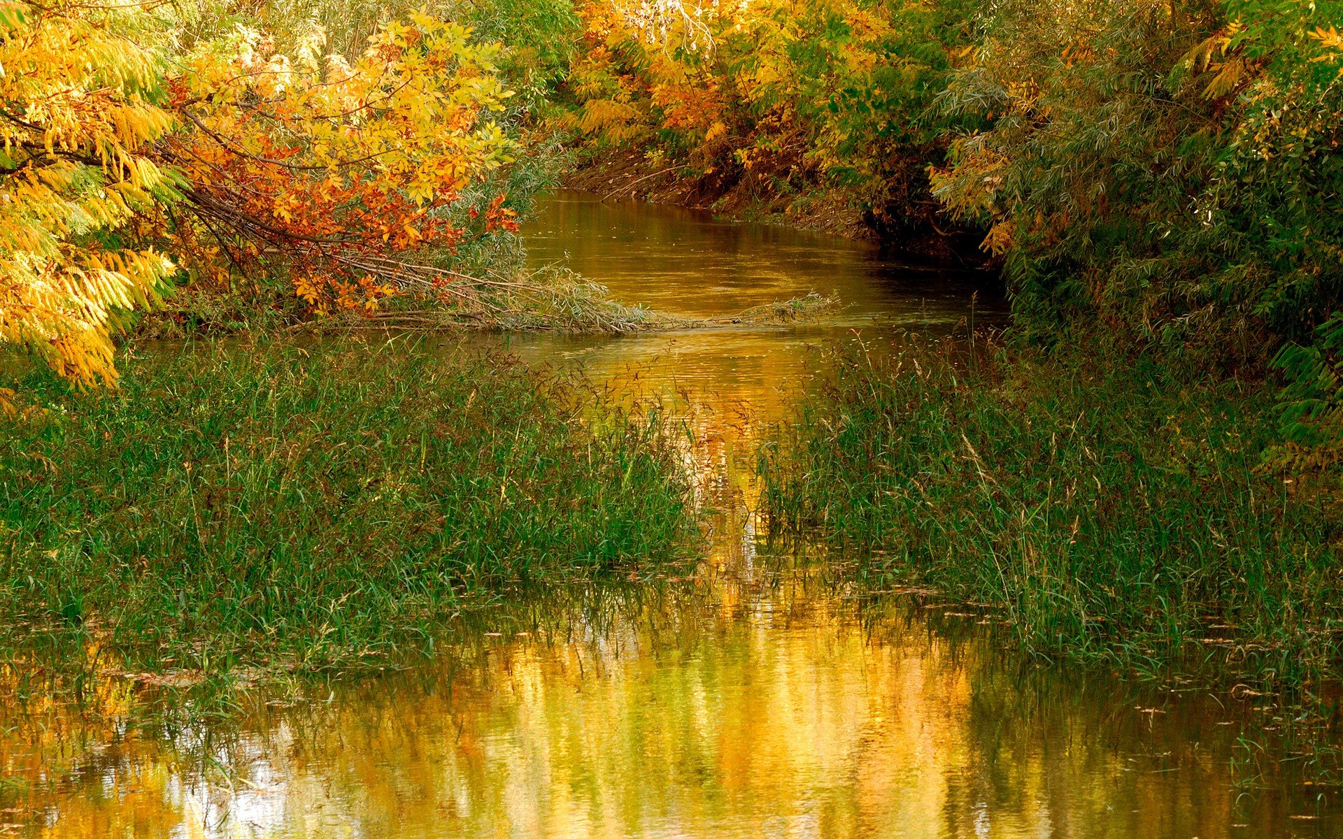 A serene autumn landscape featuring a gently flowing river surrounded by vibrant fall foliage, lush grass, and reflections in the water under a clear sky.