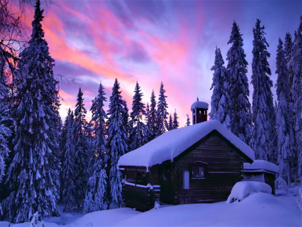 HD wallpaper of a snowy forest at sunset with a cozy cabin nestled among the trees, enveloped in winter's calm and serenity.