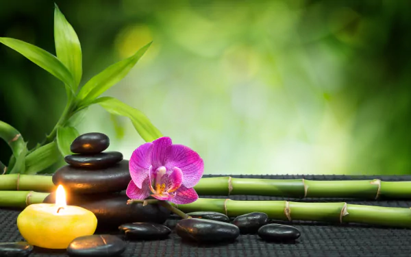An HD desktop wallpaper featuring a serene still life with a pink orchid, lit candle, and stacked stones, evoking a Zen and religious ambiance, set against a backdrop of green bamboo.
