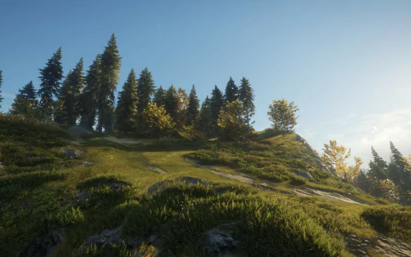 HD wallpaper of a serene landscape from the game theHunter: Call of the Wild, featuring lush trees and sunlit grassy hills.