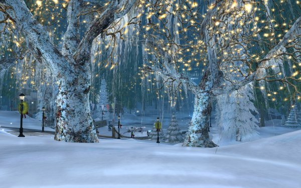 Artistic Winter Park Tree Light Snow HD Wallpaper | Background Image
