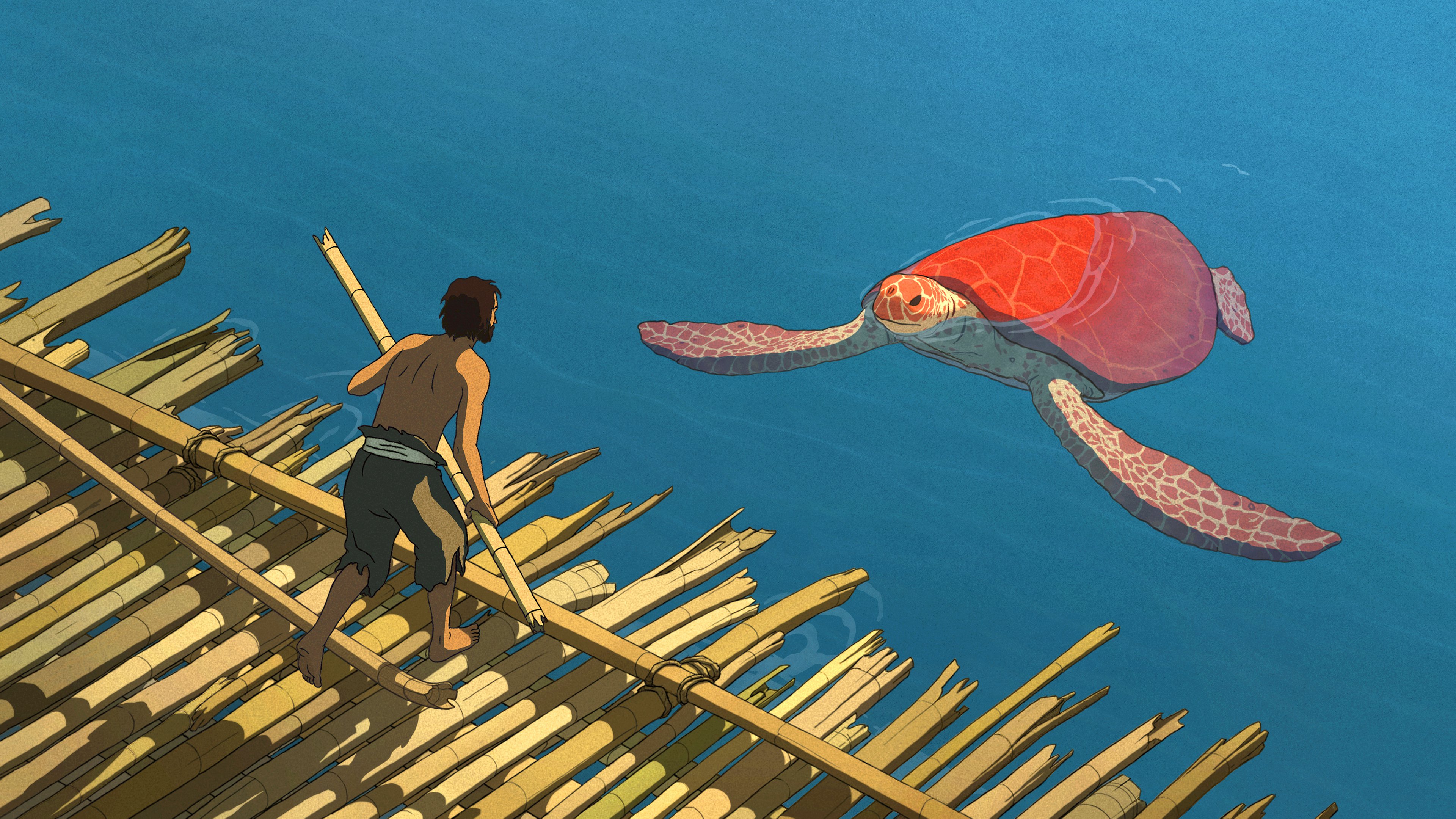 Anime The Red Turtle HD Wallpaper | Background Image