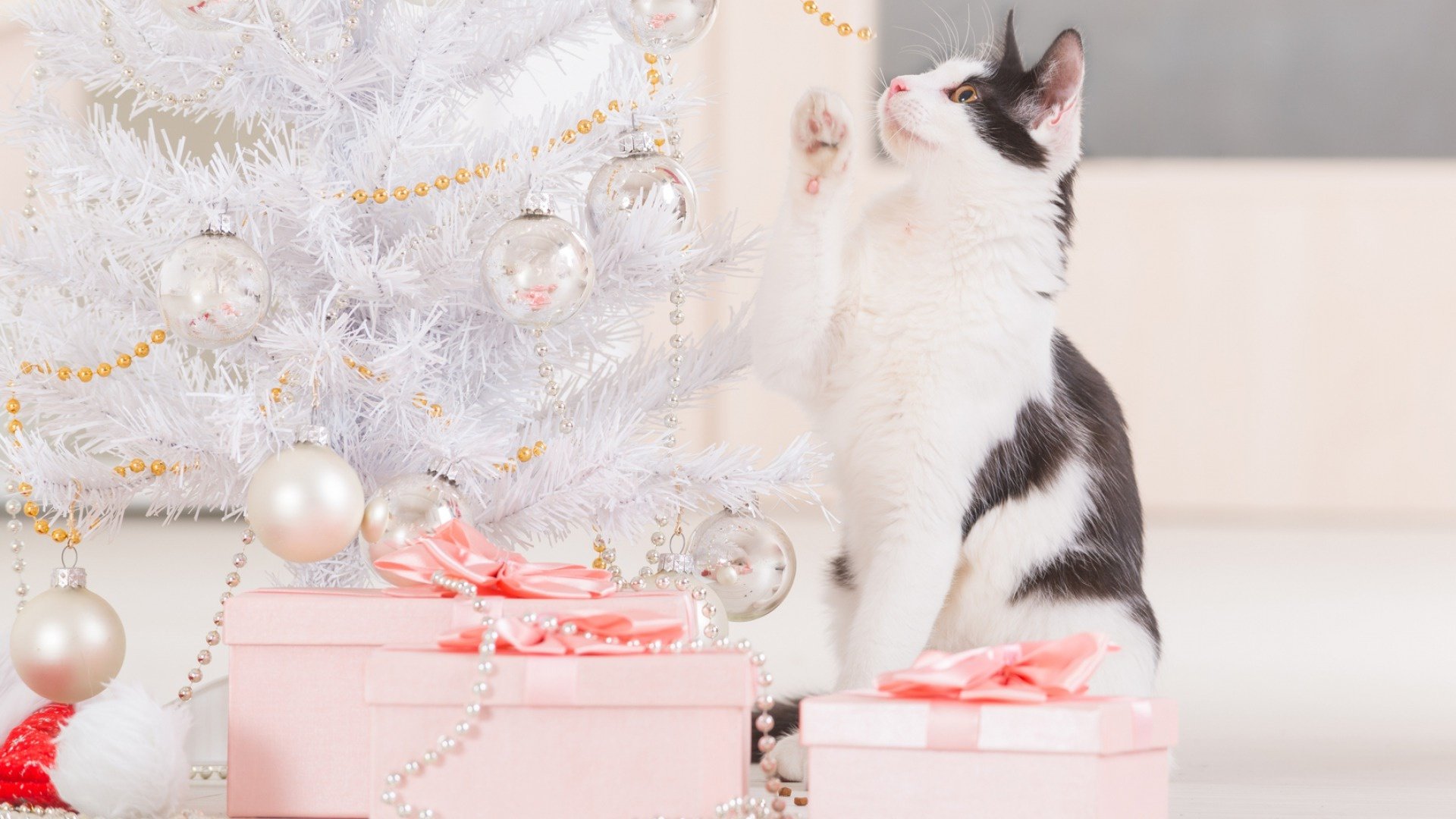 A black and white cat gazes up at silver Christmas ornaments on a white tree, surrounded by pink gift boxes, in a festive HD desktop wallpaper.