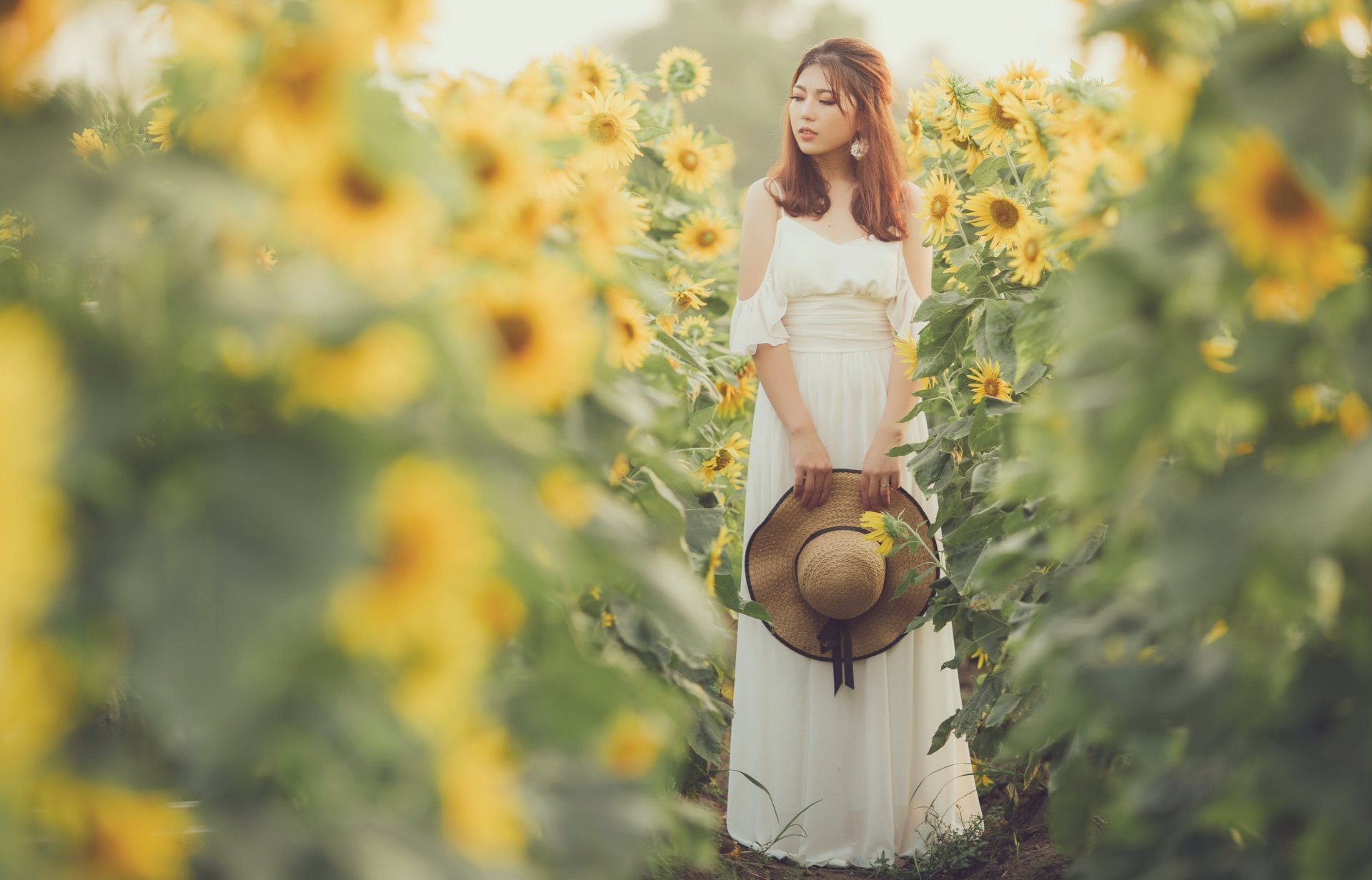 An Asian woman in a white dress holds a hat, standing amidst blooming yellow sunflowers on a summer day. This HD wallpaper captures the serene beauty of the scene.