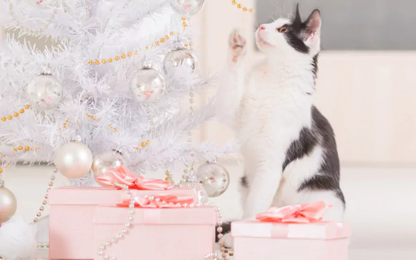 A black and white cat gazes up at silver Christmas ornaments on a white tree, surrounded by pink gift boxes, in a festive HD desktop wallpaper.