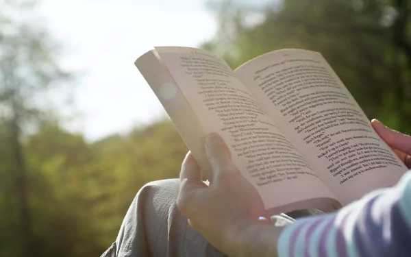 A person reading a book outdoors, surrounded by nature, with soft sunlight illuminating the pages. This HD desktop wallpaper beautifully captures the joy of reading.