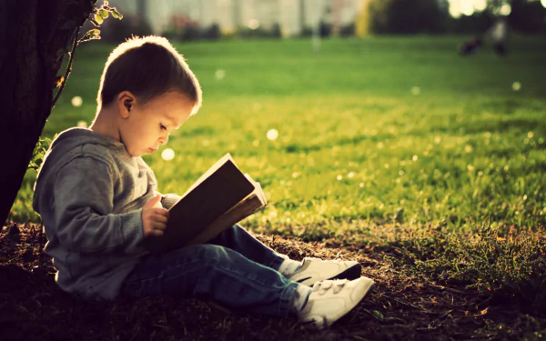HD wallpaper featuring a focused child reading a book under the soft glow of sunlight in a serene outdoor setting.