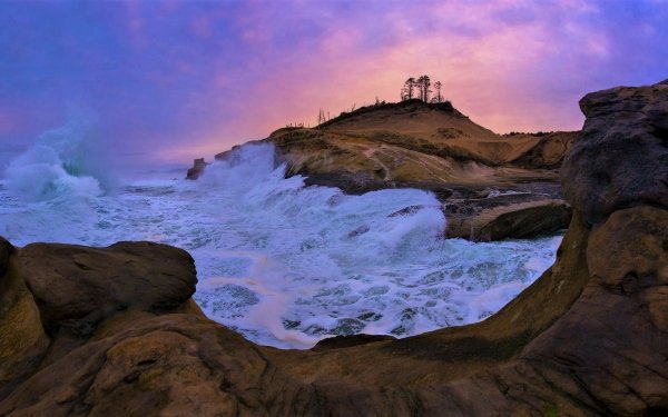 Nature Ocean Sea Sunset Tree HD Wallpaper | Background Image