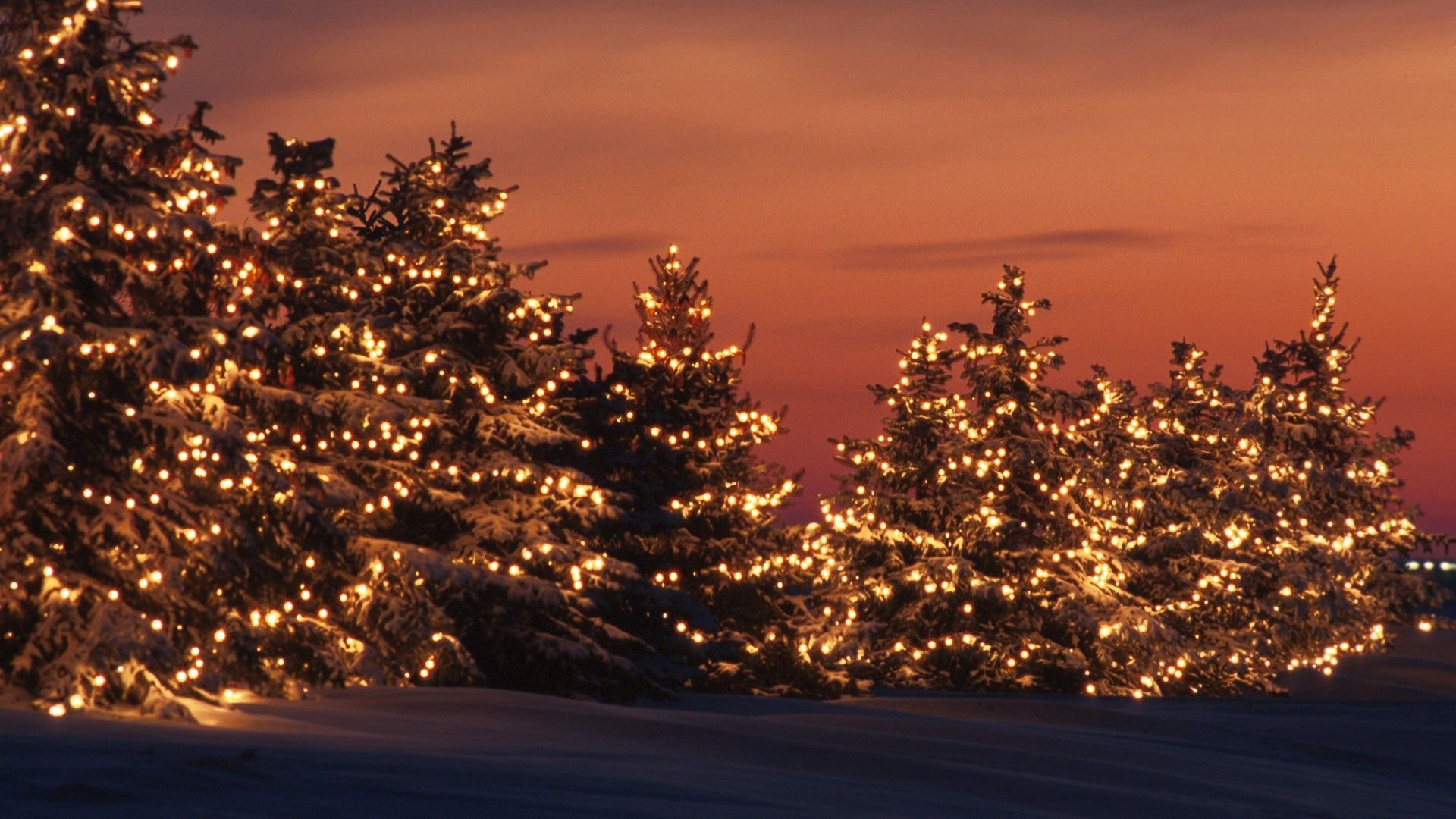 Download Lights Sunset Tree Holiday Christmas HD Wallpaper