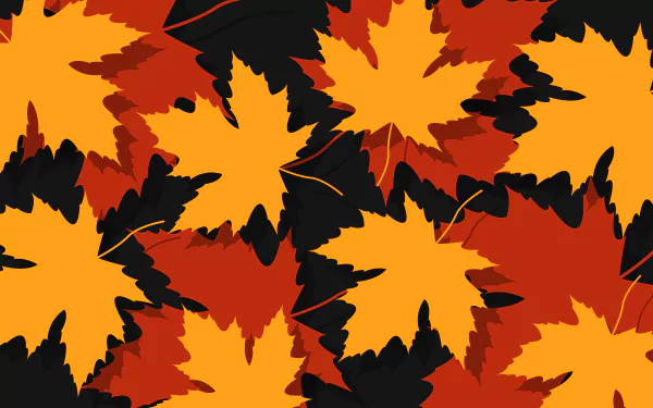 maple leaf fall minimalist artistic leaf HD Desktop Wallpaper | Background Image