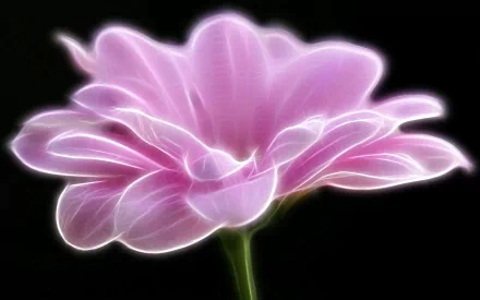 HD desktop wallpaper featuring an artistic depiction of a glowing pink flower against a dark background.