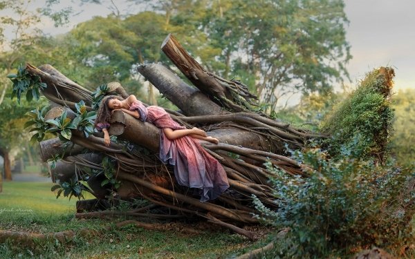 Women Mood Sleeping Tree Log HD Wallpaper | Background Image