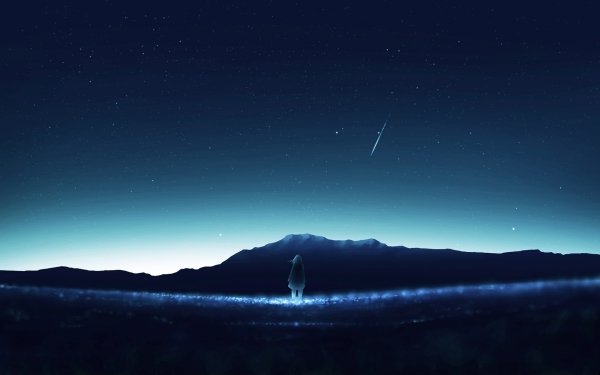 Anime Original Night Shooting Star Tree Lake HD Wallpaper | Background Image