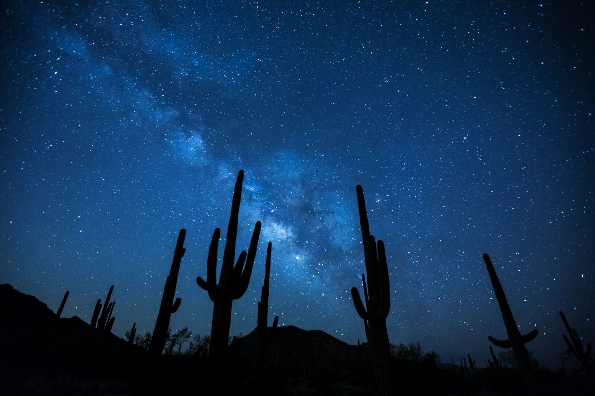 Silhouetted cacti under a vibrant Milky Way and starry night sky, showcasing the beauty of nature in this HD PC desktop wallpaper.