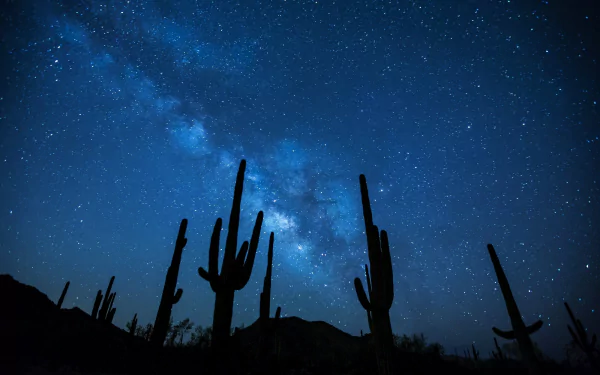 Silhouetted cacti under a vibrant Milky Way and starry night sky, showcasing the beauty of nature in this HD PC desktop wallpaper.