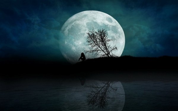 Artistic Fantasy Lonely Alone Night Moon Tree Silhouette HD Wallpaper | Background Image