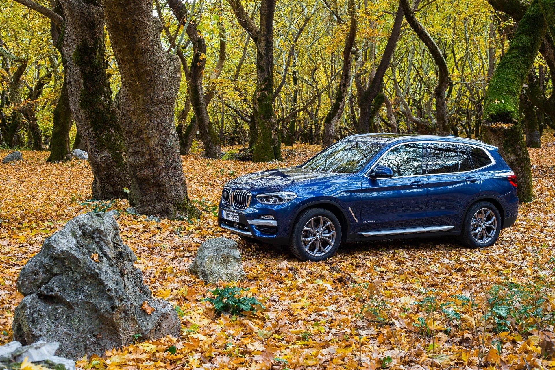 Blue BMW X3 SUV car parked on a carpet of yellow leaves in an autumn forest — 4K Ultra HD PC desktop wallpaper/background.